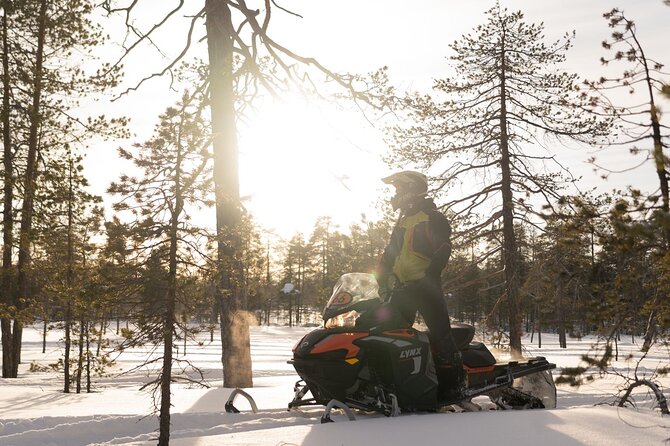 Family Snowmobile Safari in Rovaniemi - Key points to know before booking