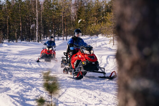 Family Snowmobiling in Rovaniemi, Apukka Resort - Who will enjoy this Rovaniemi safari?