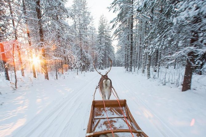 Forest Trail Reindeer Safari - Winter clothing, snacks, and hot drinks