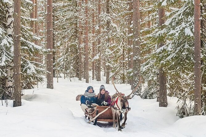 Forest Trail Reindeer Safari - Guides who shape the visit