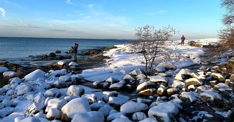 From Helsinki: Archipelago Excursion in Porkkalaniemi - Practical Details for a Smooth Day