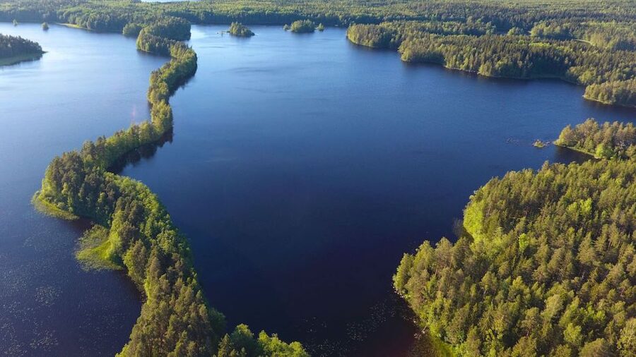 From Helsinki: Berry Picking Day Trip in a National Park - Who Will Enjoy This Berry Picking Day Trip?