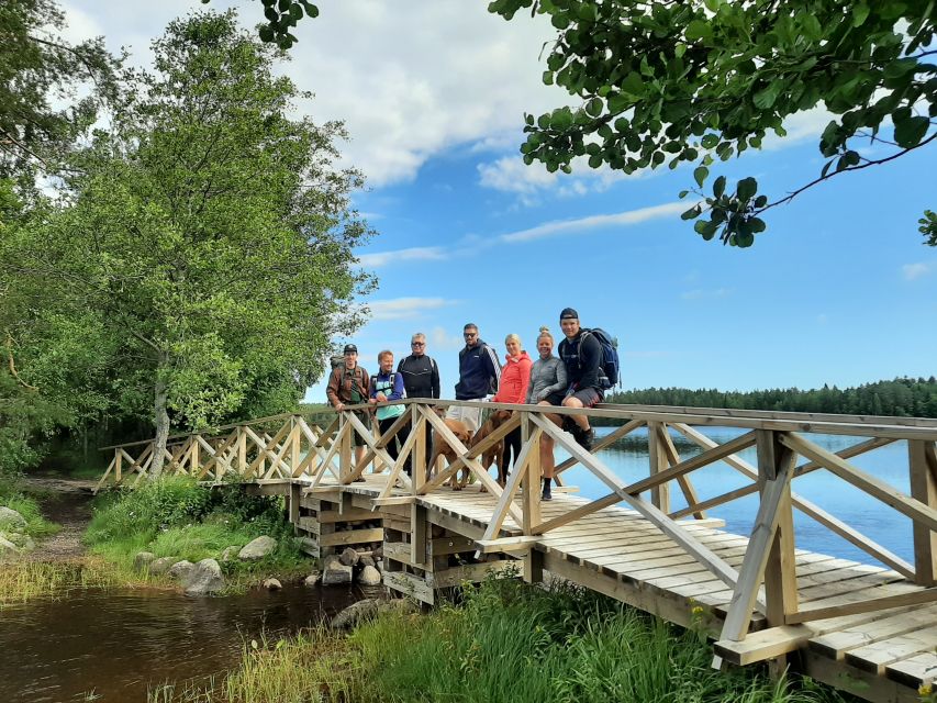 From Helsinki: Berry Picking Day Trip in a National Park - Should You Book the Liesjärvi Berry Tour?
