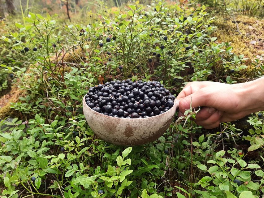 From Helsinki: Berry Picking Day Trip in a National Park - FAQ