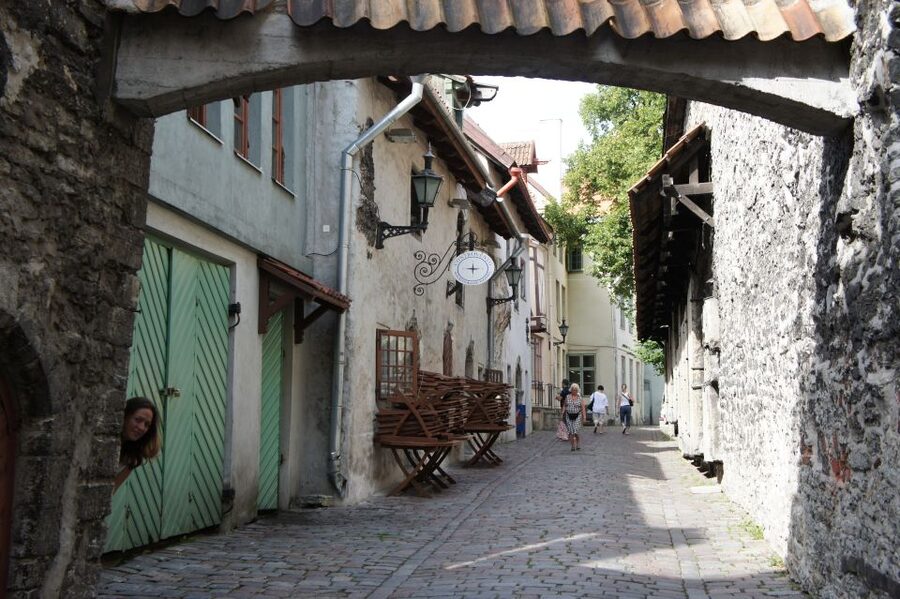 From Helsinki: Guided Day Trip to Tallinn by Ferry & VIP Car - Who will get the most from this private day