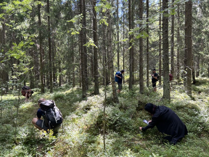From Helsinki: Hike and Sauna in Sipoonkorpi National Park - Key points to know before booking