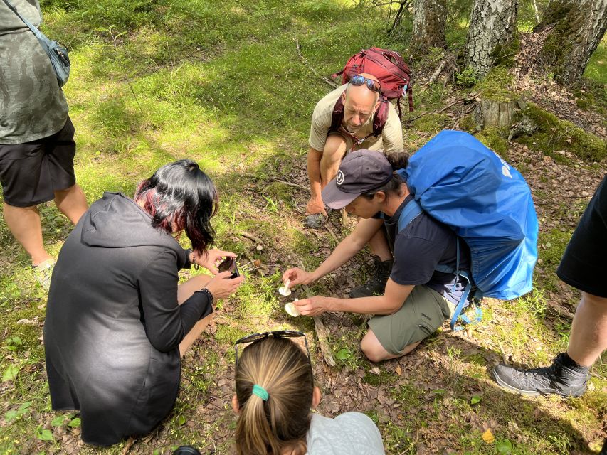 From Helsinki: Hike and Sauna in Sipoonkorpi National Park - Kuusijärvi Lake and the smoke sauna ritual