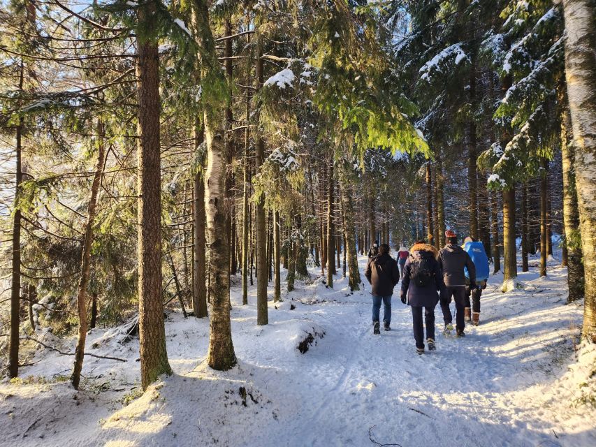 From Helsinki: Hike and Sauna in Sipoonkorpi National Park - Why the guides make a difference