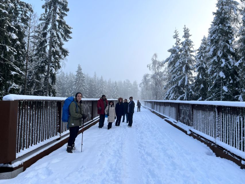 From Helsinki: Hike and Sauna in Sipoonkorpi National Park - Who should book this outing?