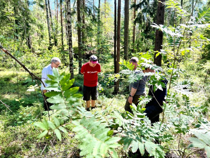 From Helsinki: Hike and Sauna in Sipoonkorpi National Park - A six-kilometer walk through Finnish taiga