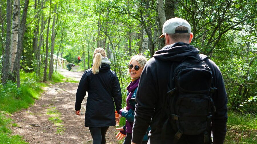 From Helsinki: Magical Taiga Hike in Liesjärvi National Park - Leaving Helsinki for the Taiga