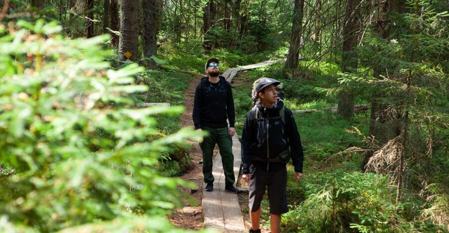 From Helsinki: Magical Taiga Hike in Liesjärvi National Park - What changes by season