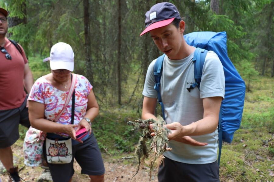 From Helsinki: Magical Taiga Hike in Liesjärvi National Park - Practical details that can make or break the day