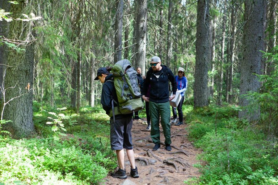 From Helsinki: Mushroom Hunting Tour in a National Park - Who Will Enjoy This Tour Most?