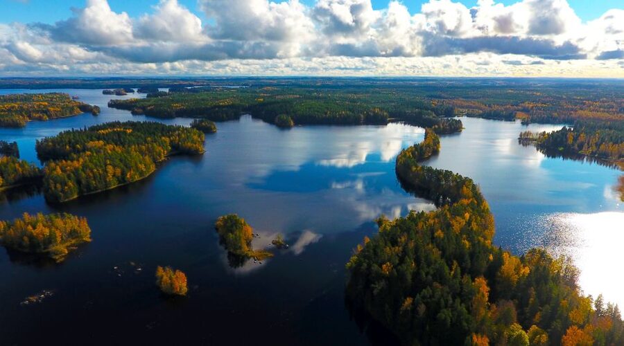 From Helsinki: Mushroom Hunting Tour in a National Park - Is $182 a Fair Price?