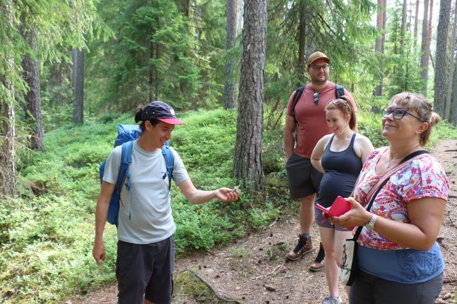 From Helsinki: Mushroom Hunting Tour in a National Park - Weather, Clothing, and Comfort