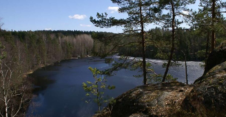 From Helsinki: Nuuksio National Park Half-Day Trip - What the five-hour schedule really means