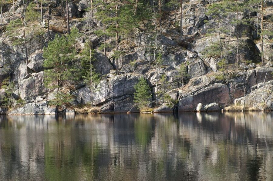 From Helsinki: Nuuksio National Park Half-Day Trip - The best seasons for Nuuksio