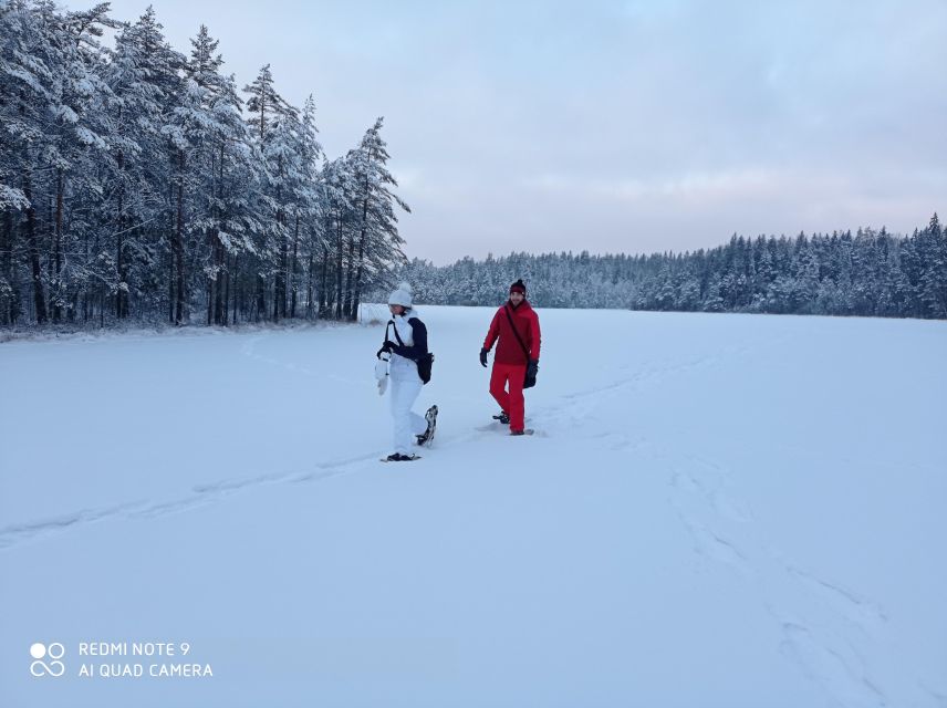From Helsinki: Nuuksio National Park Hiking Tour with Food - Why Nuuksio makes such a good Helsinki side trip