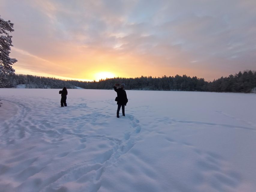 From Helsinki: Nuuksio National Park Hiking Tour with Food - Glögi, pipari, and the forest break