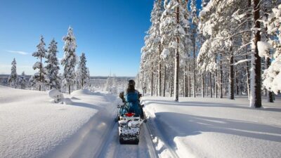 2-Hour Snowmobile Safari