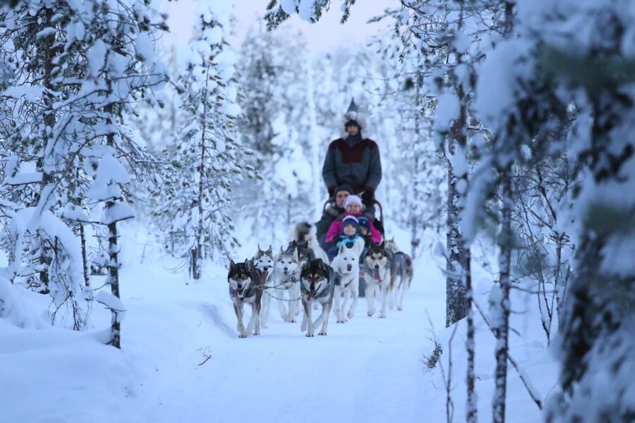 From Rovaniemi: 5km Husky Sleigh Ride - What this Rovaniemi husky trip is really like