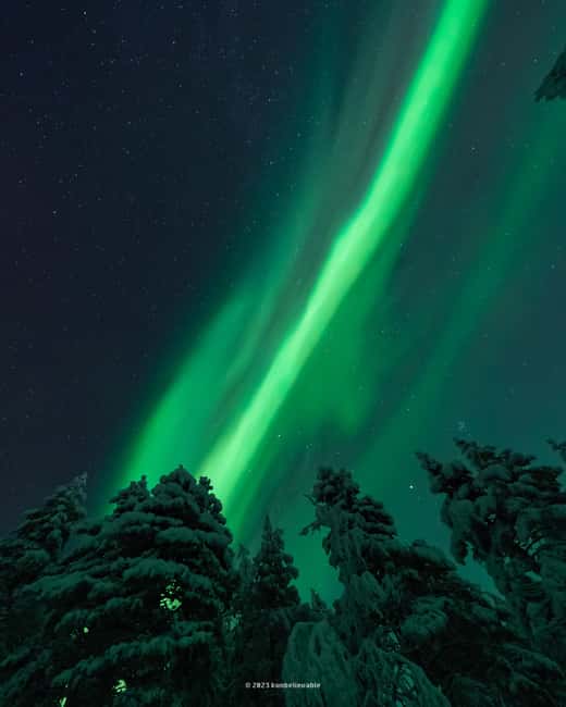 From Rovaniemi: Aurora Borealis Hunting with Photos & Videos - Is $136 a fair price?