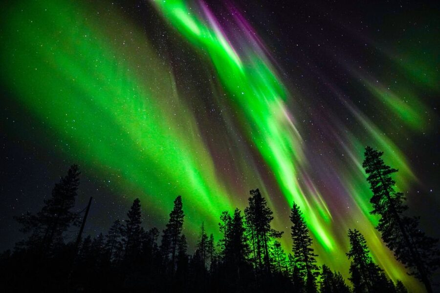 From Rovaniemi: Family-Friendly Northern Lights Tour - Key points before you book