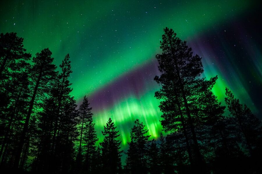 From Rovaniemi: Family-Friendly Northern Lights Tour - The private viewing place and the Northern Lights odds