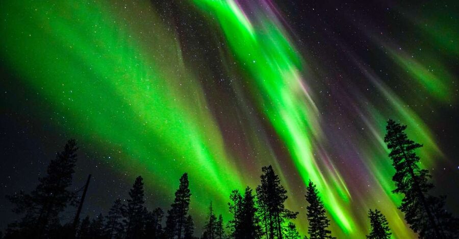 From Rovaniemi: Family-Friendly Northern Lights Tour - The teepee fire, sausages, and hot chocolate