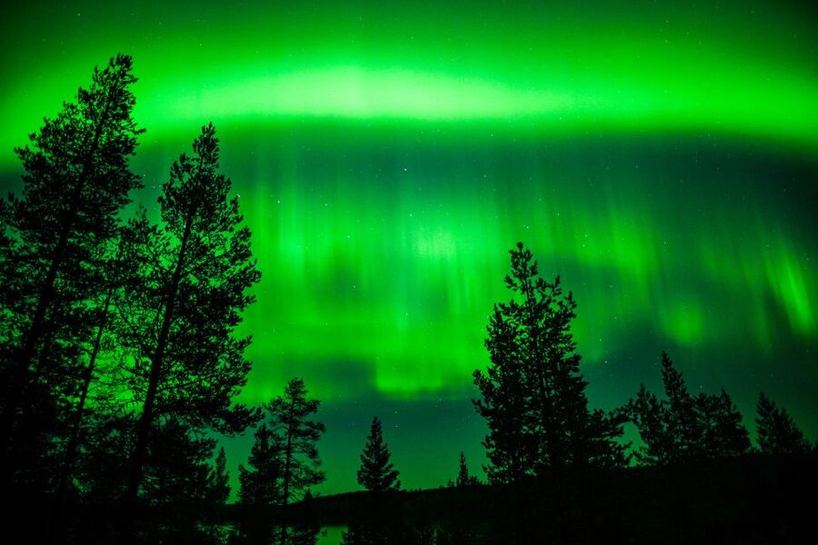From Rovaniemi: Family-Friendly Northern Lights Tour - How the $123 price holds up