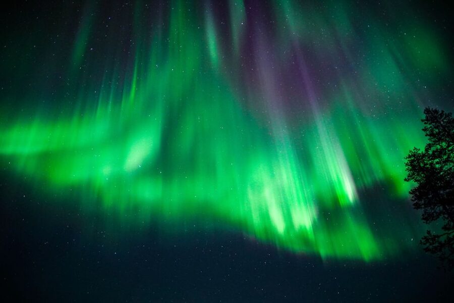 From Rovaniemi: Family-Friendly Northern Lights Tour - Who should book this three-hour outing