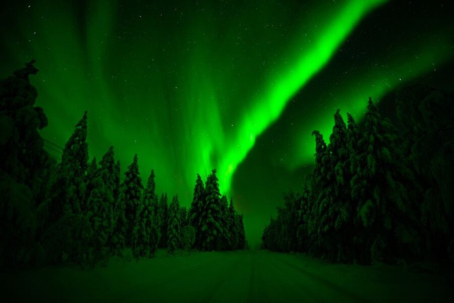 From Rovaniemi: Family-Friendly Northern Lights Tour - Booking details that matter