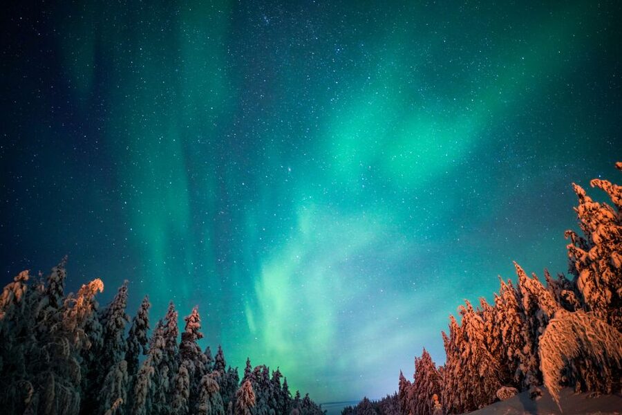 From Rovaniemi: Family-Friendly Northern Lights Tour - Leaving Rovaniemi for the snowy forests