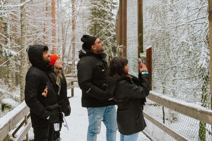From Rovaniemi: Family Friendly Visit to Ranua Wildlife Park - Why Ranua makes a good family outing