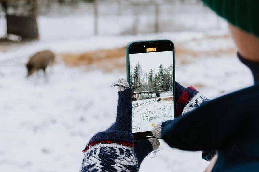 From Rovaniemi: Family Friendly Visit to Ranua Wildlife Park - Entering Ranua Wildlife Park