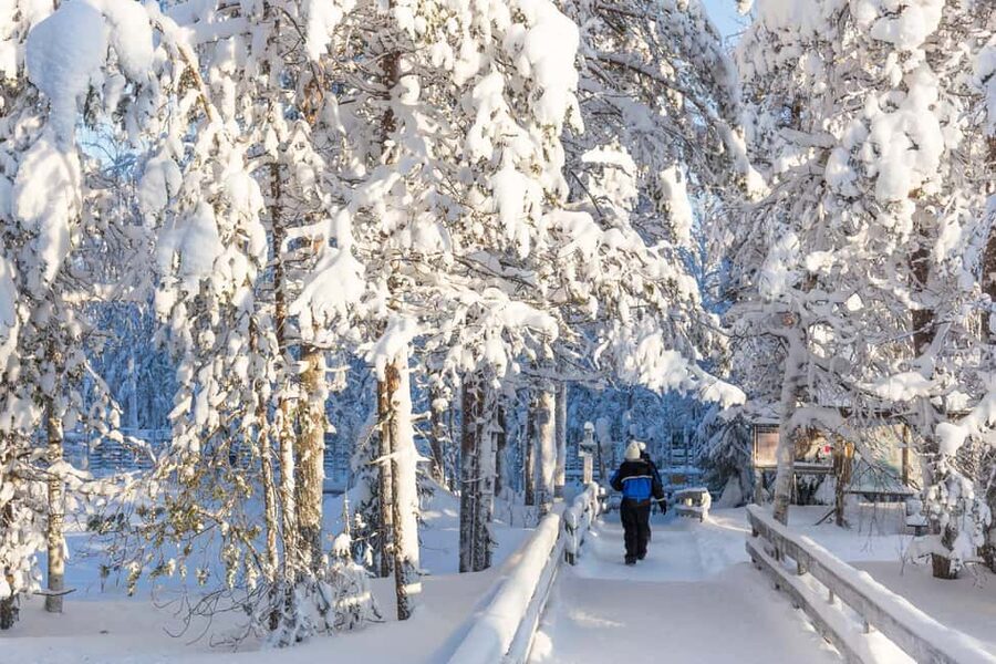 From Rovaniemi: Family Friendly Visit to Ranua Wildlife Park - What the guide adds to the experience