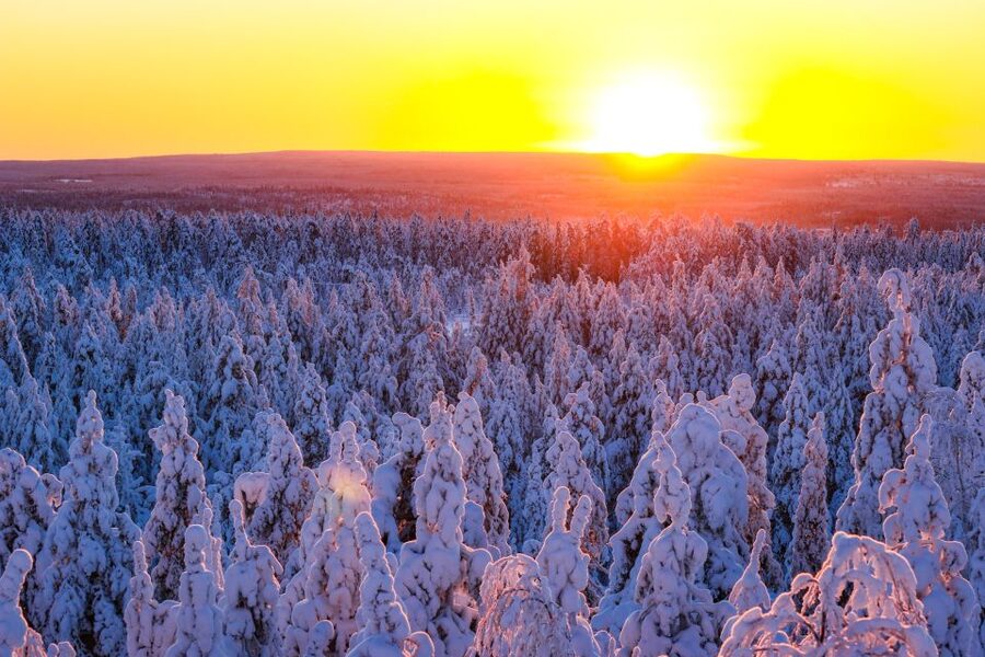 From Rovaniemi: Guided Lapland Snowmobile Adventure - Why the Small Group Changes the Ride