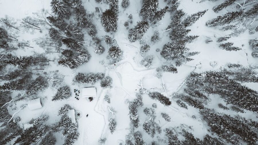 From Rovaniemi: Korouoma Canyon and Frozen Waterfalls Tour - Quick take: what makes this tour worthwhile