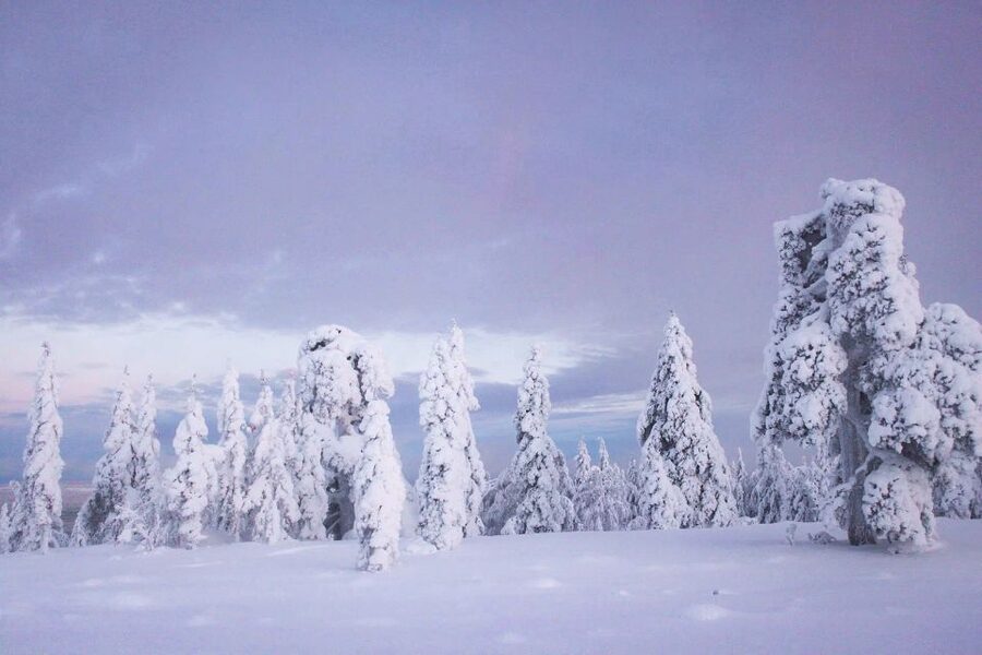 From Rovaniemi: Korouoma Canyon and Frozen Waterfalls Tour - Why Korouoma Canyon is worth the 1.5-hour drive