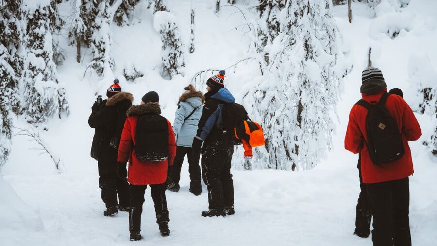 From Rovaniemi: Korouoma Canyon and Frozen Waterfalls Tour - The campfire: simple food, welcome warmth