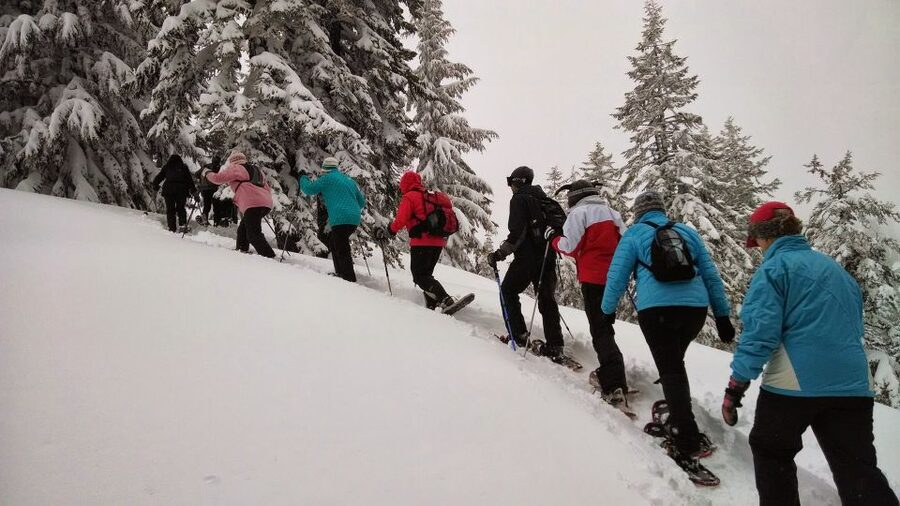 From Rovaniemi: Korouoma Frozen Waterfalls Small-Group Hike - The 5 km trail through snowy Finland