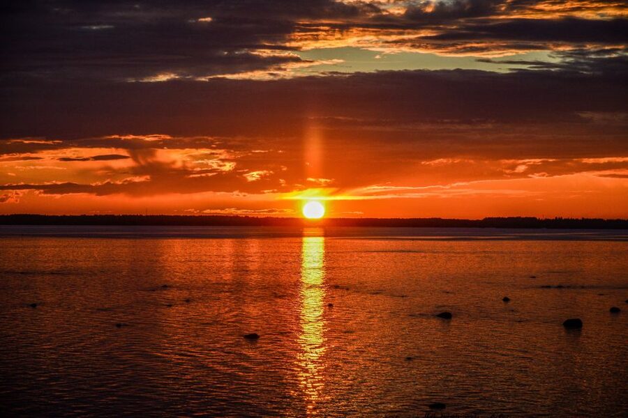 From Rovaniemi: Midnight Sun Forest Lake Float - Why this Rovaniemi evening feels different