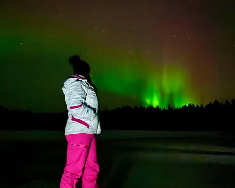 From Rovaniemi: Night Tour in Search of the Aurora with BBQ - Why three Arctic stops matter