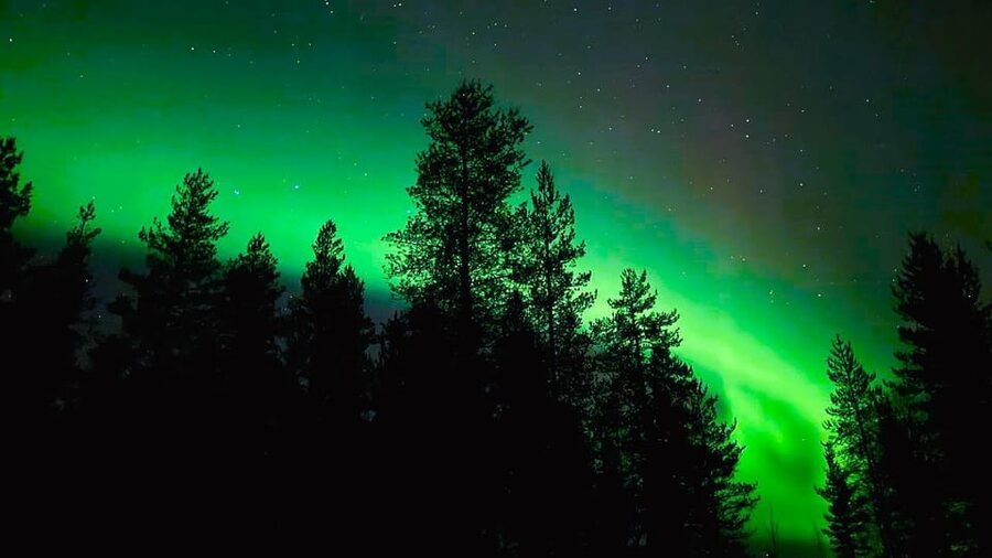 From Rovaniemi: Night Tour in Search of the Aurora with BBQ - Who should book this night tour?