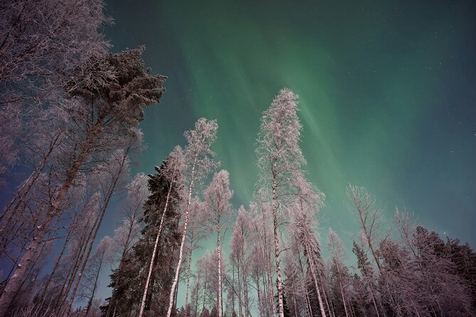 From Rovaniemi: Northern Lights Tour with Campfire Snacks - Pickup from Rovaniemi and the ride north