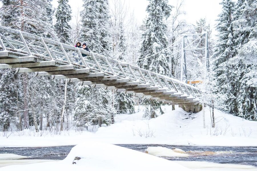 From Rovaniemi: Private Photoshoot in the Lappish Wilderness - Who will enjoy this most?