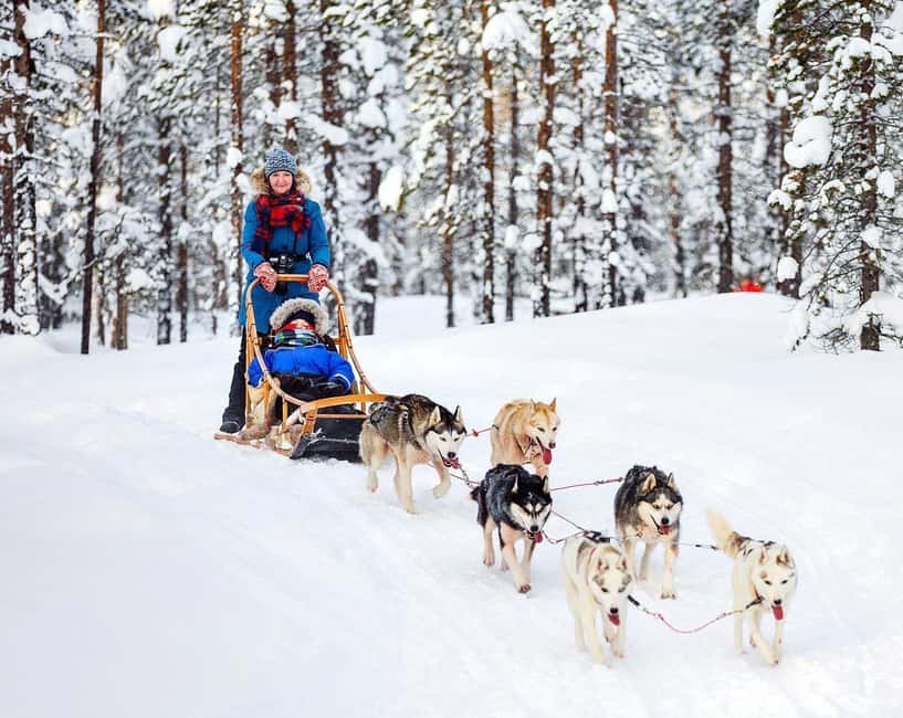 From Rovaniemi: Private Tour to Santa Claus Village - Timing, language, and access