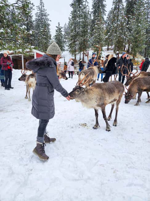 From Rovaniemi: Reindeer Farm Visit with Sleigh Ride - Warming up inside the kota hut