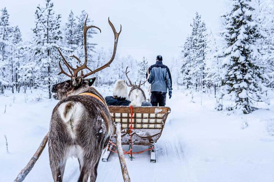 From Rovaniemi: Reindeer Farm Visit with Sleigh Ride - How authentic is the Sámi culture component?